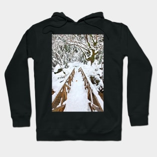 Deeper in the heart of winter Hoodie